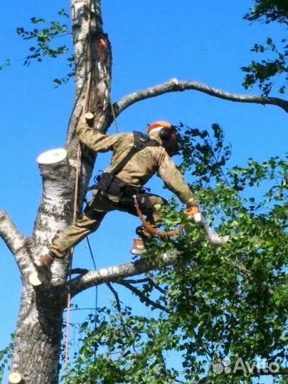 Грузоперевозки, грузчик, вывоз мусора. Покос травы