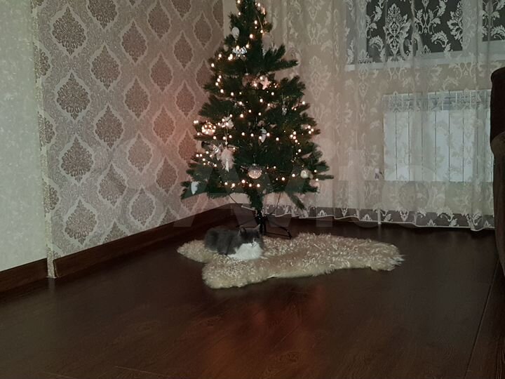 Коттедж 253 м² на участке 4,5 сот.