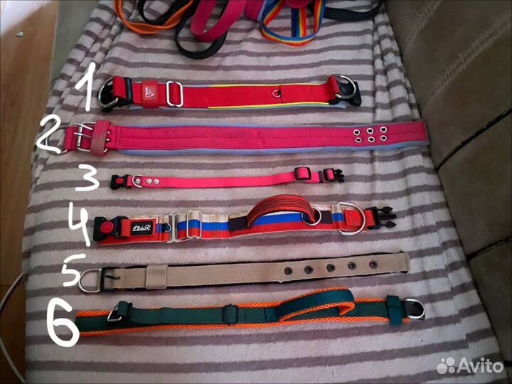 Амуниция для собак