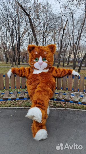 Ростовая кукла Кот, кошечка на мероприятие