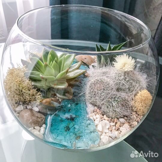 Флорариум размер S, M