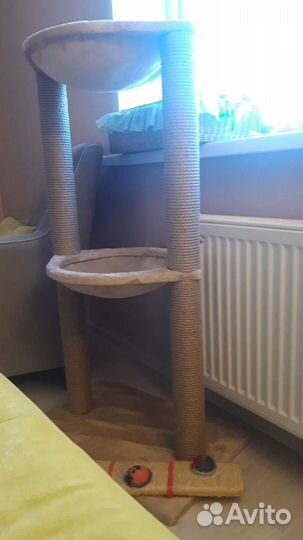 Когтеточка