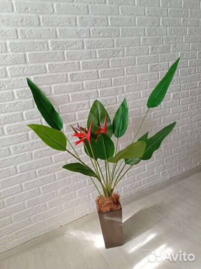 Искусственные цветы/Пальма/Стрелиция