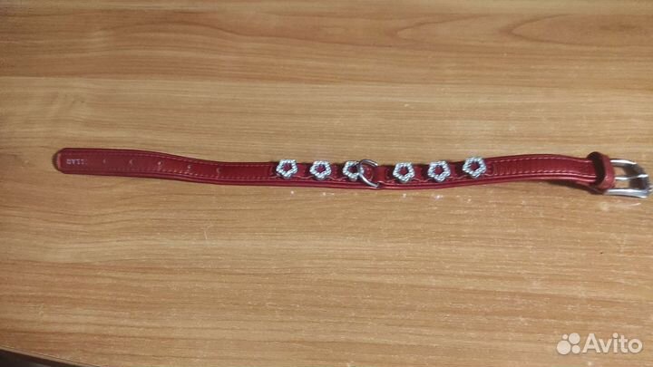 Ошейник для собак