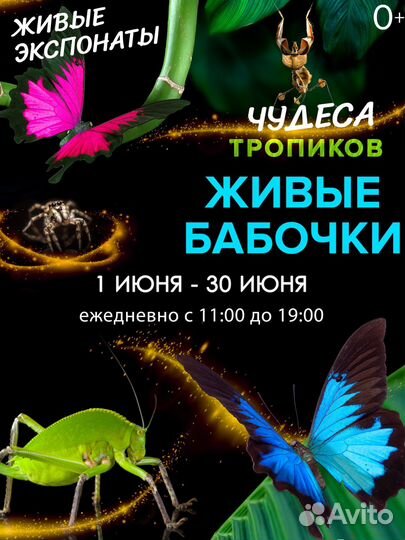 Администратор/кассир