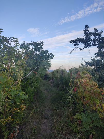 Дача 20 м² на участке 3,2 сот.