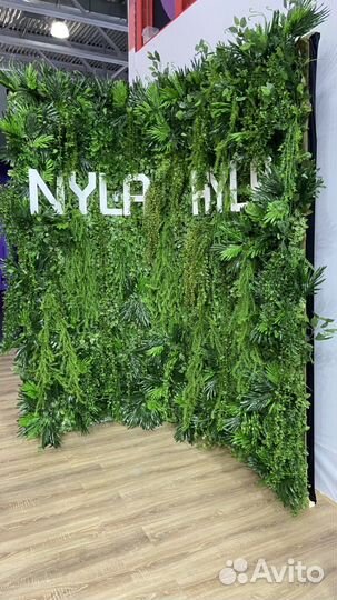 Фотозона зелена, фотозона за молодыми