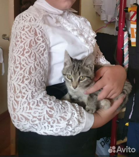 Белая блузка в школу