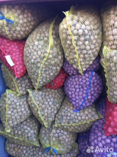 Продам грецкий орех в скорлупе