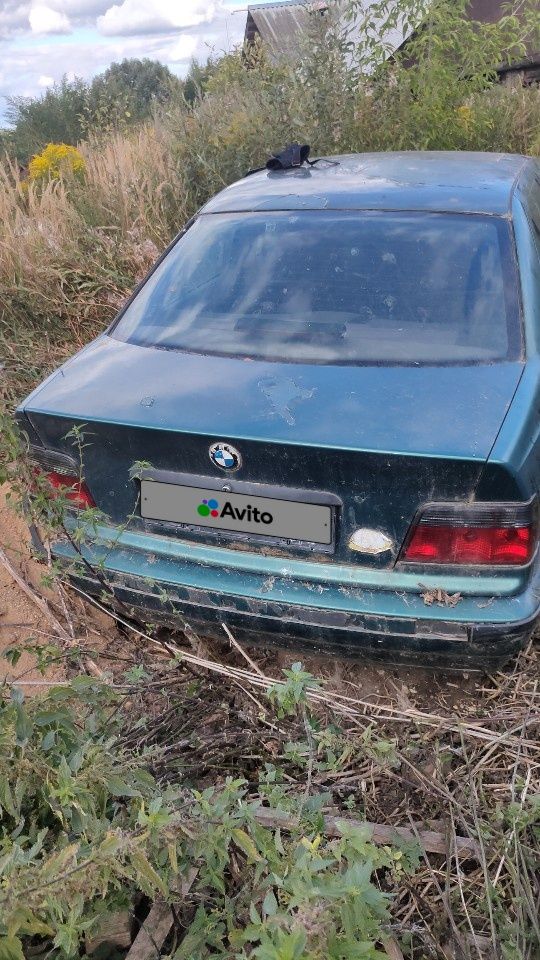 BMW 3 серия: фото владельца