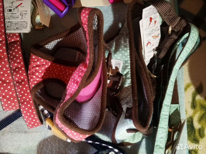 Аксессуары для собак и кошек