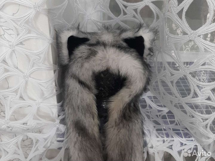 Волкошапка