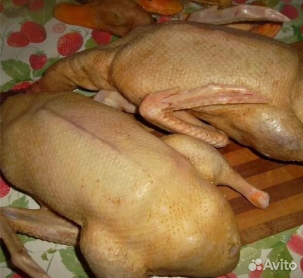 Тушки гуся и утки