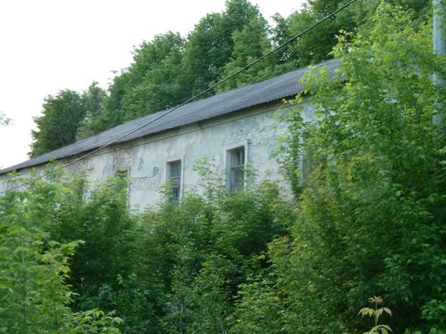 Участок 3,9 га (промназначения)