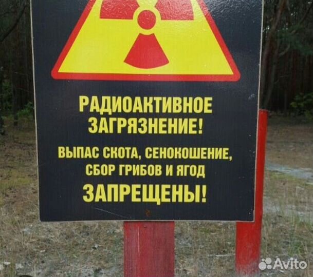 Экспресс замер радиации и электромагнитного поля