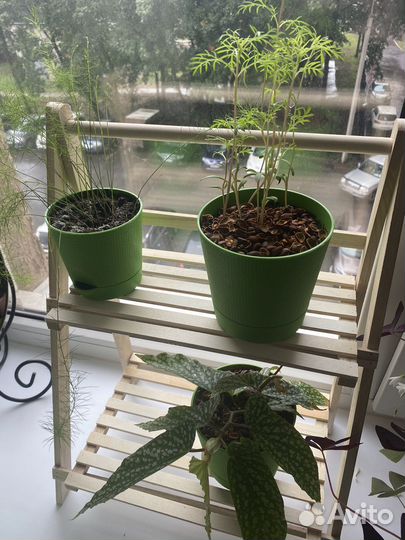 Этожерка с цветами разными