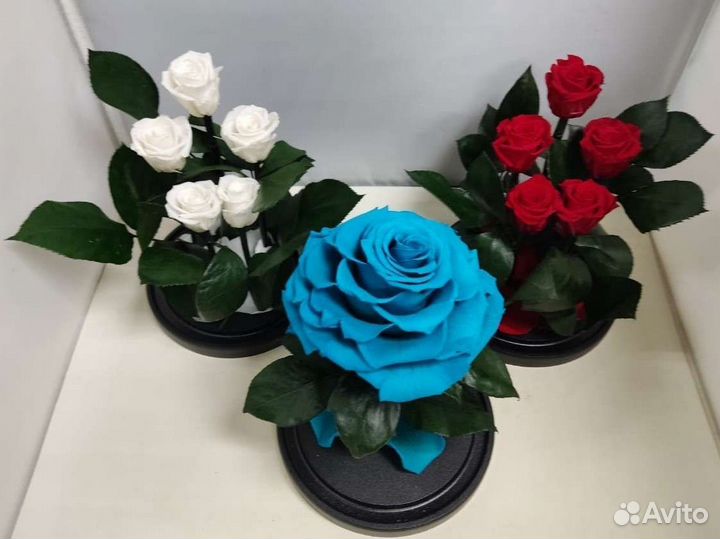 Подарок / Цветы