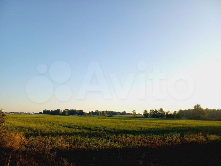 Участок 6 га (ИЖС)