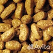 Корм Проплан для стерил кошек 10 кг кролик, лосось