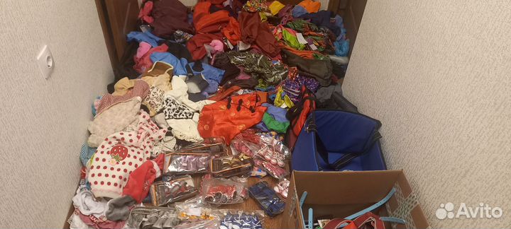 Одежда обувь для собак и кошек