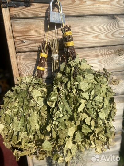 Березовые веники для бани