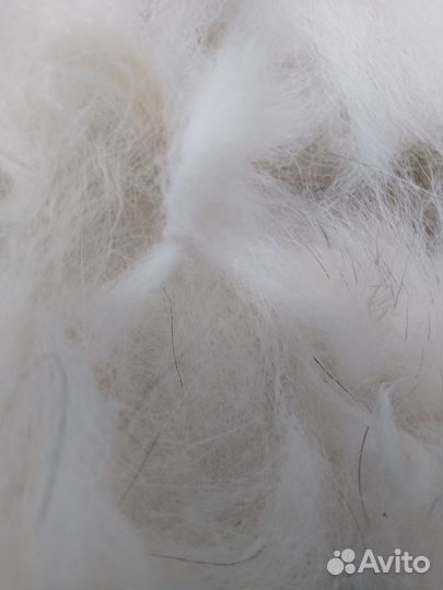 Вычес сибирской хаски и аляскинского маламута