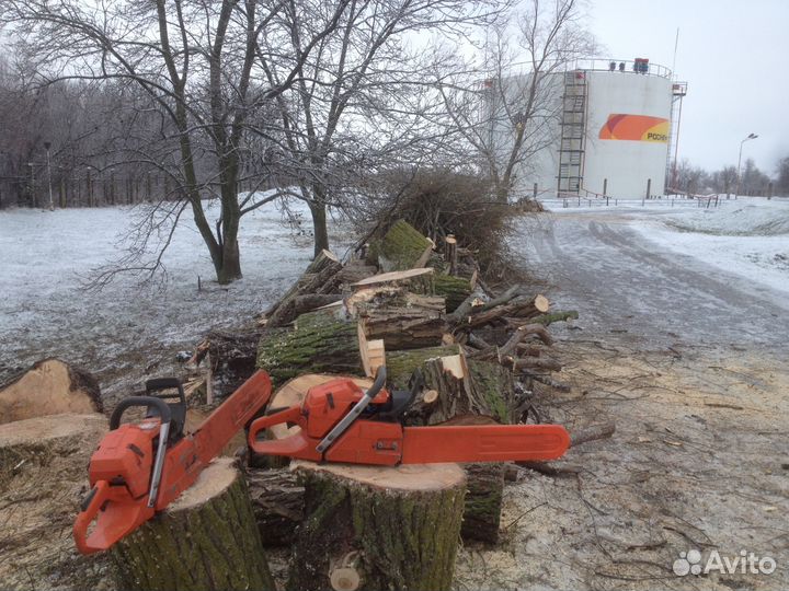 Спил Деревьев Гостагаевская. Удаление, Обрезка