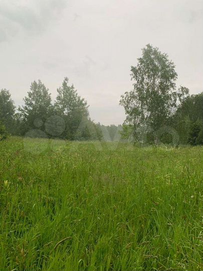 Участок 6,8 га (СНТ, ДНП)