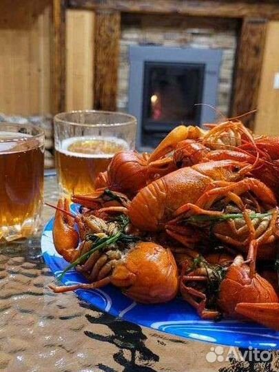 Раки живые 12.08.2023