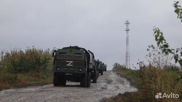 Z V Диорамы, модели на заказ