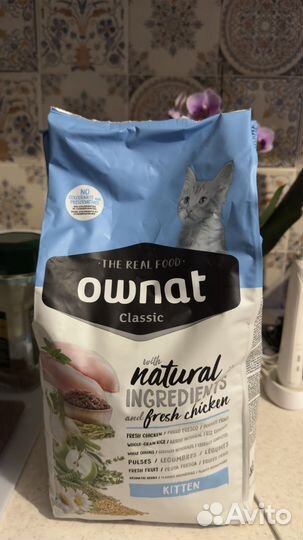 Корм для котят ownat