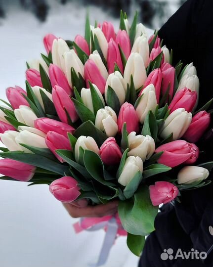 Тюльпаны к 8 марта