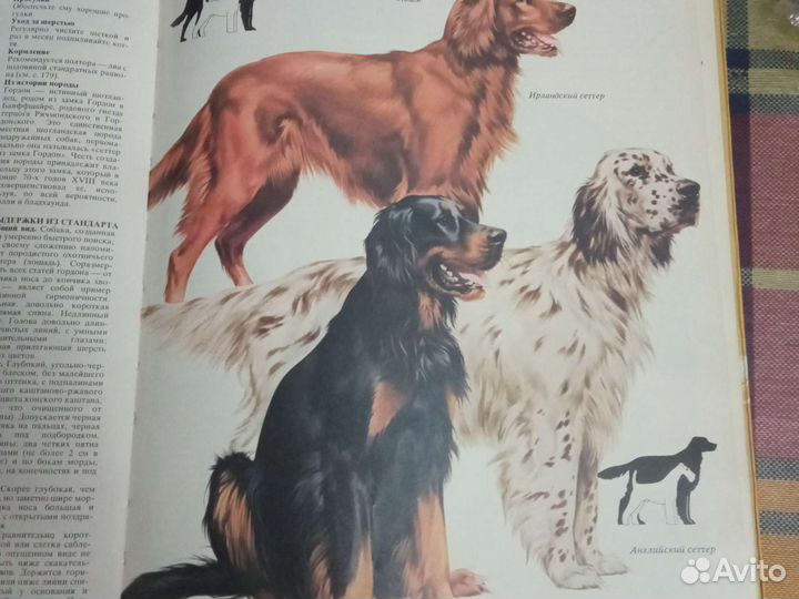 Книга Ваша Собака Джоан Палмер