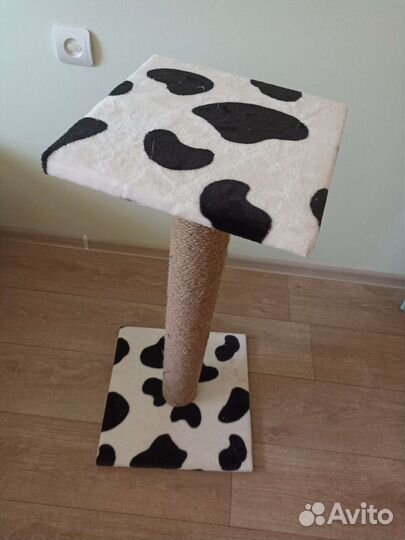 Когтеточка