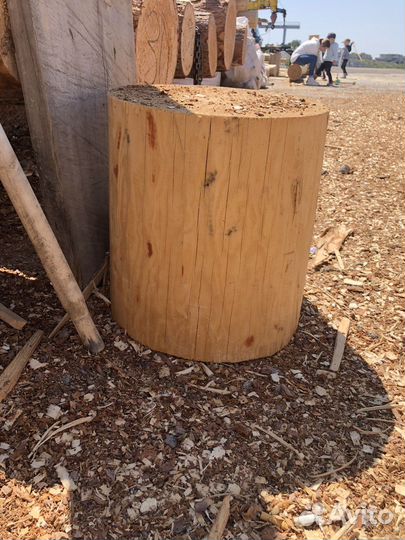 Деревянный пенек