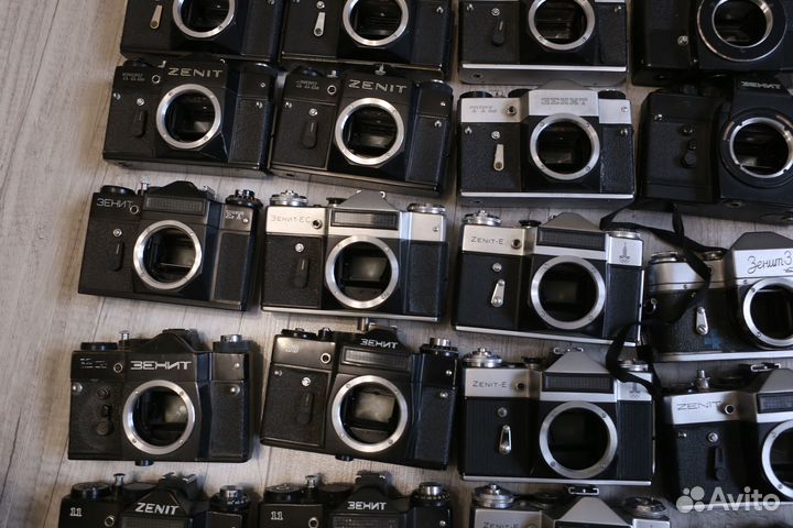 Тушки Зенит большой выбор 11.08.23