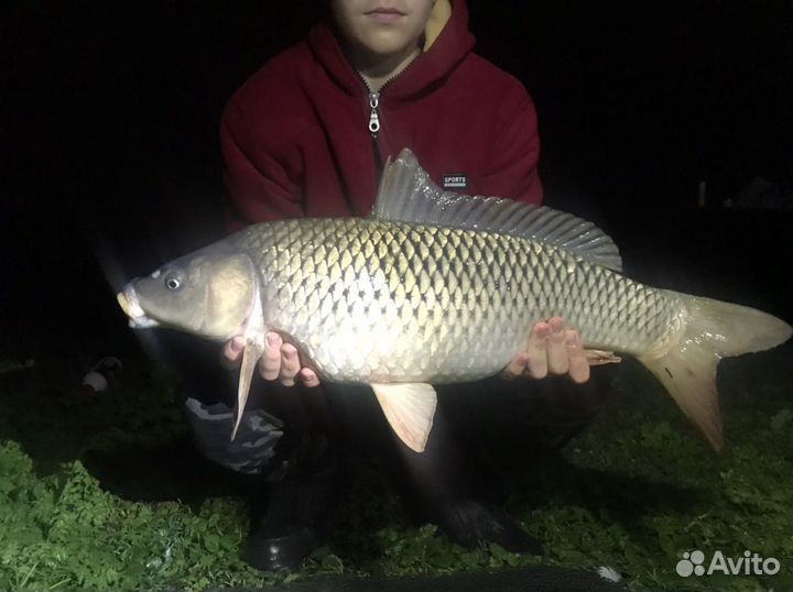 Отдых от городской суеты Беседки мангалы