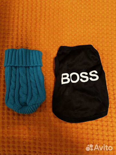 Одежда для животных