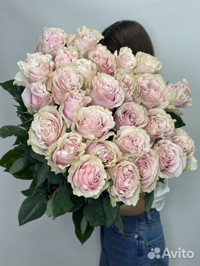 Роза розовая Эквадор Пинк Мондиаль Доставка цветов