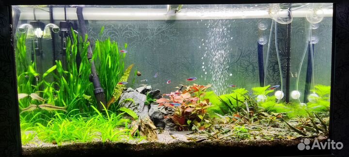 Аквариум+фильтр+со2+свет+грунт