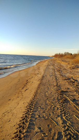 Участок 50 сот. (ИЖС)