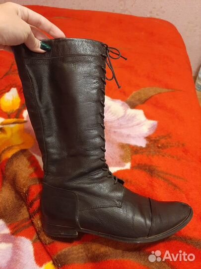 Сапоги демисезонные