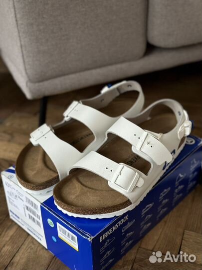 Birkenstock x ader error