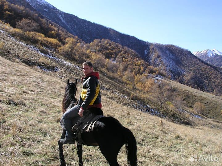 Конные прогулки, активный отдых