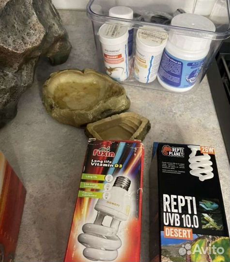 Террариум с наполнением