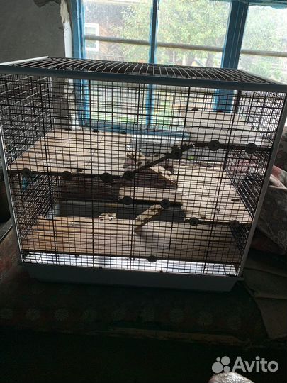 Клетка для грызунов большая