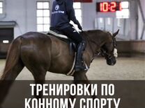 Тренер по конному спорту