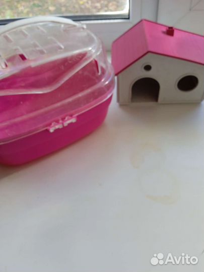 Домик и переписка для хомяка