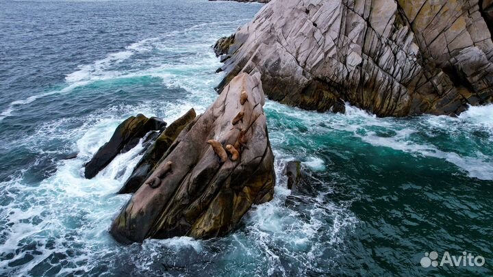 Видеосъемка. Видеооператор. Пилот квадрокоптера