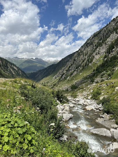 Слушатель собеседник друг на час